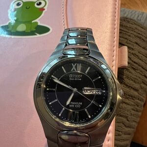 Citizen Eco-Drive Black Dial Silver Band Watch